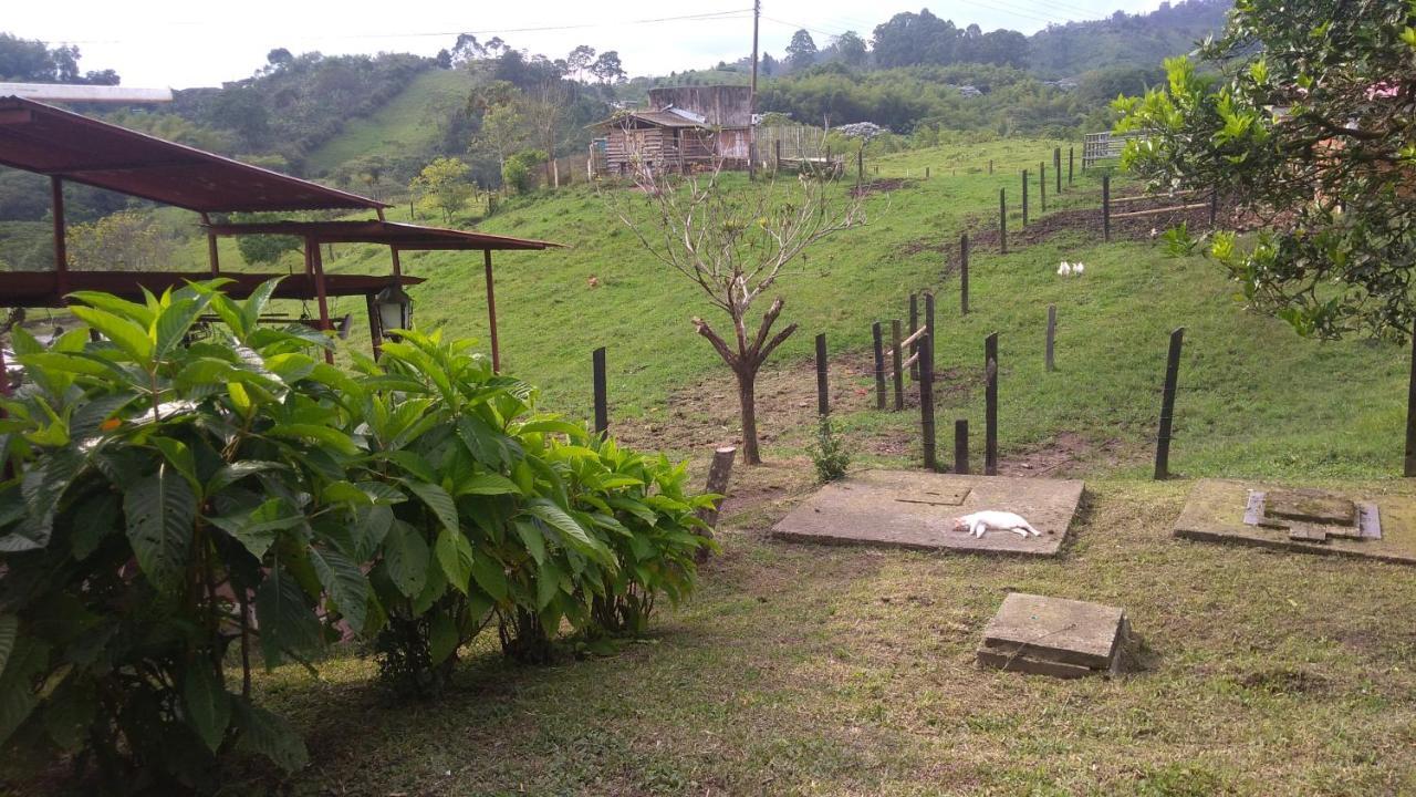 Rancho Ventura Villa Filandia Bagian luar foto