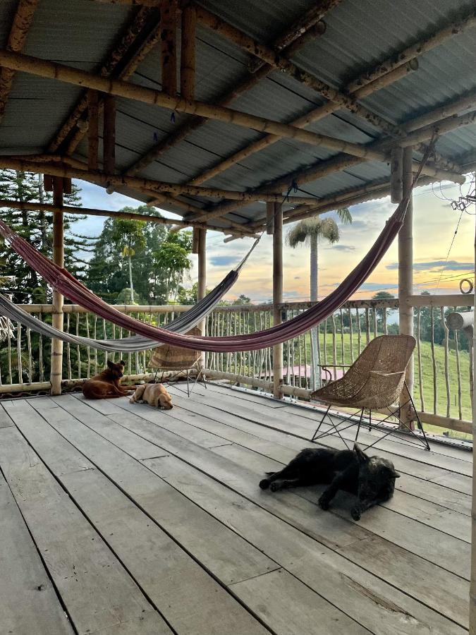 Rancho Ventura Villa Filandia Bagian luar foto