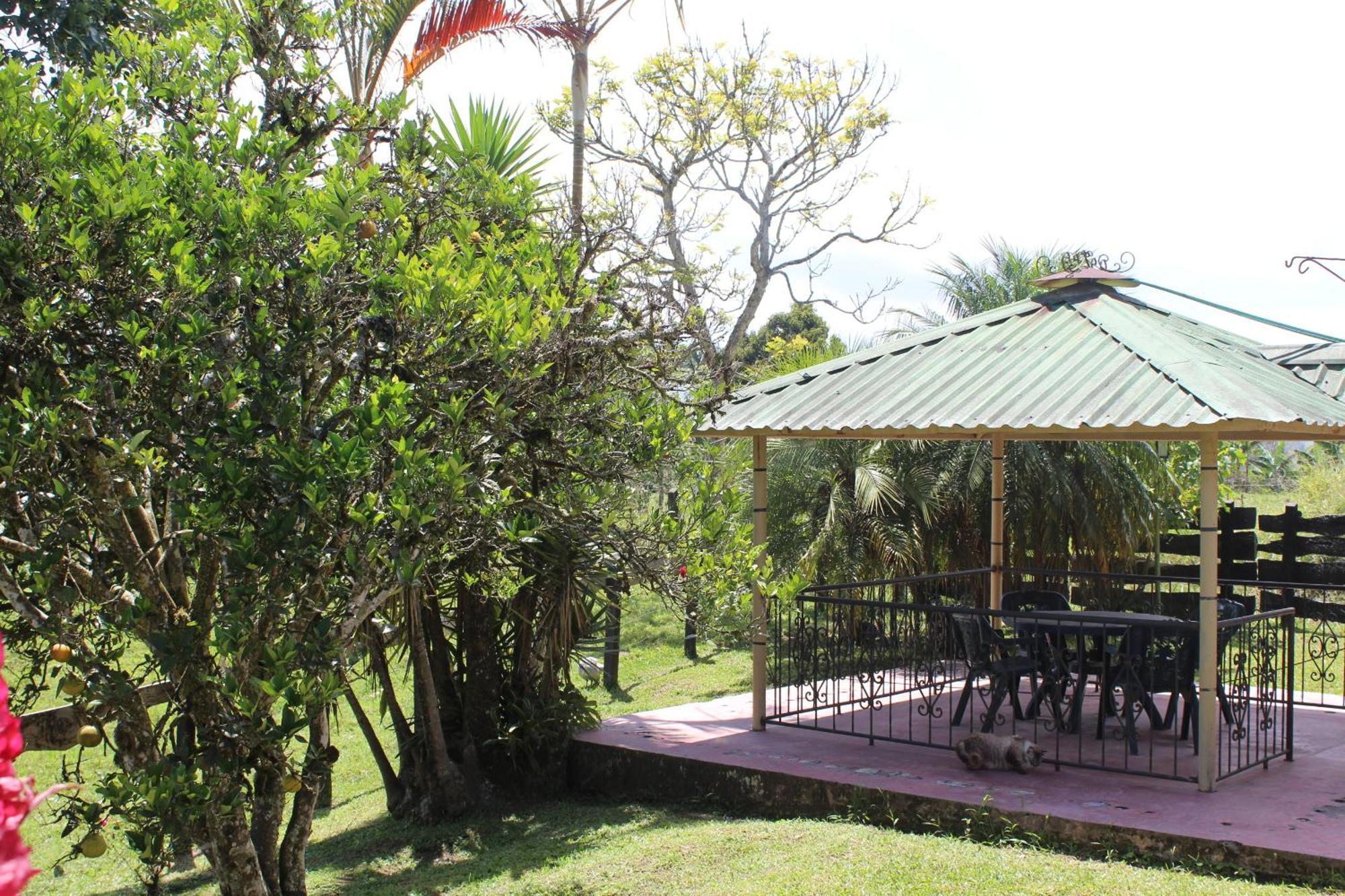Rancho Ventura Villa Filandia Bagian luar foto